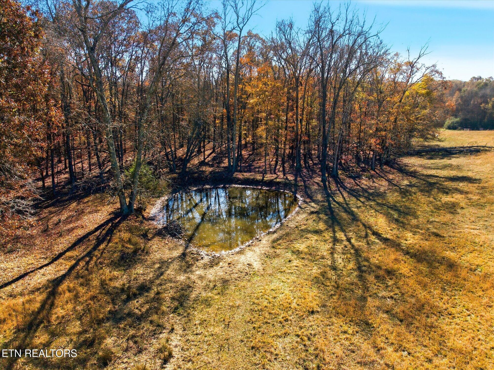 244 County Road 709 Riceville, TN 37370 - Photo 37 of 43 Gallery Image 37