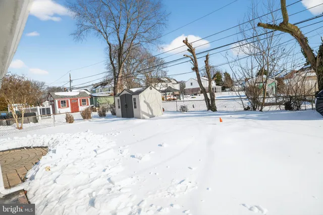 a view of a parking space with a large tree