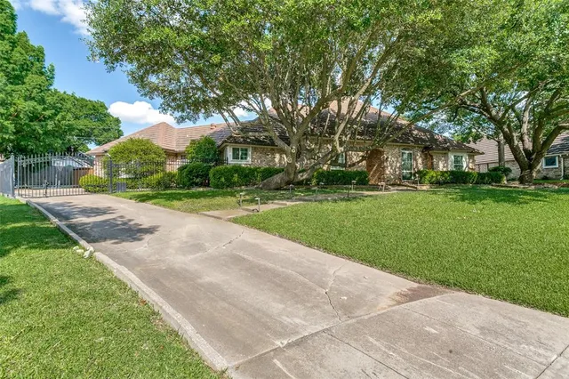 a view of a park with large trees