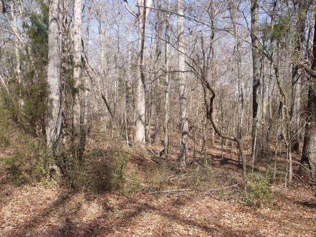 53 County Road 147 Riceville, TN 37370 - Photo 1 of 1 Gallery Image 1