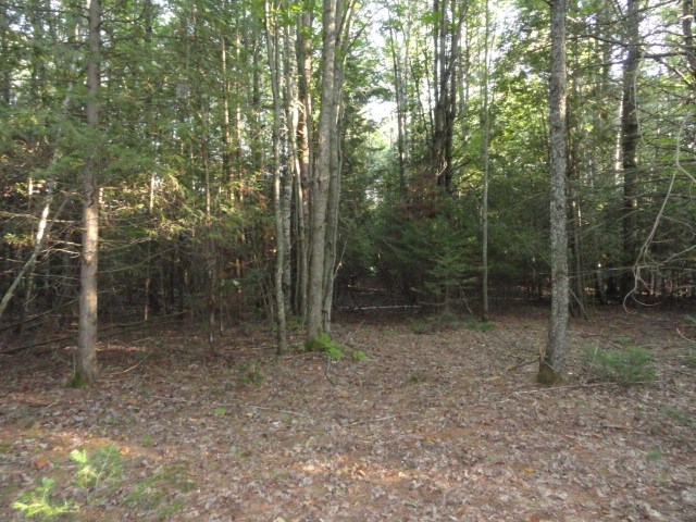 5670 Powers Road Alanson, MI 49706 - Photo 11 of 38 1852708-10.JPG