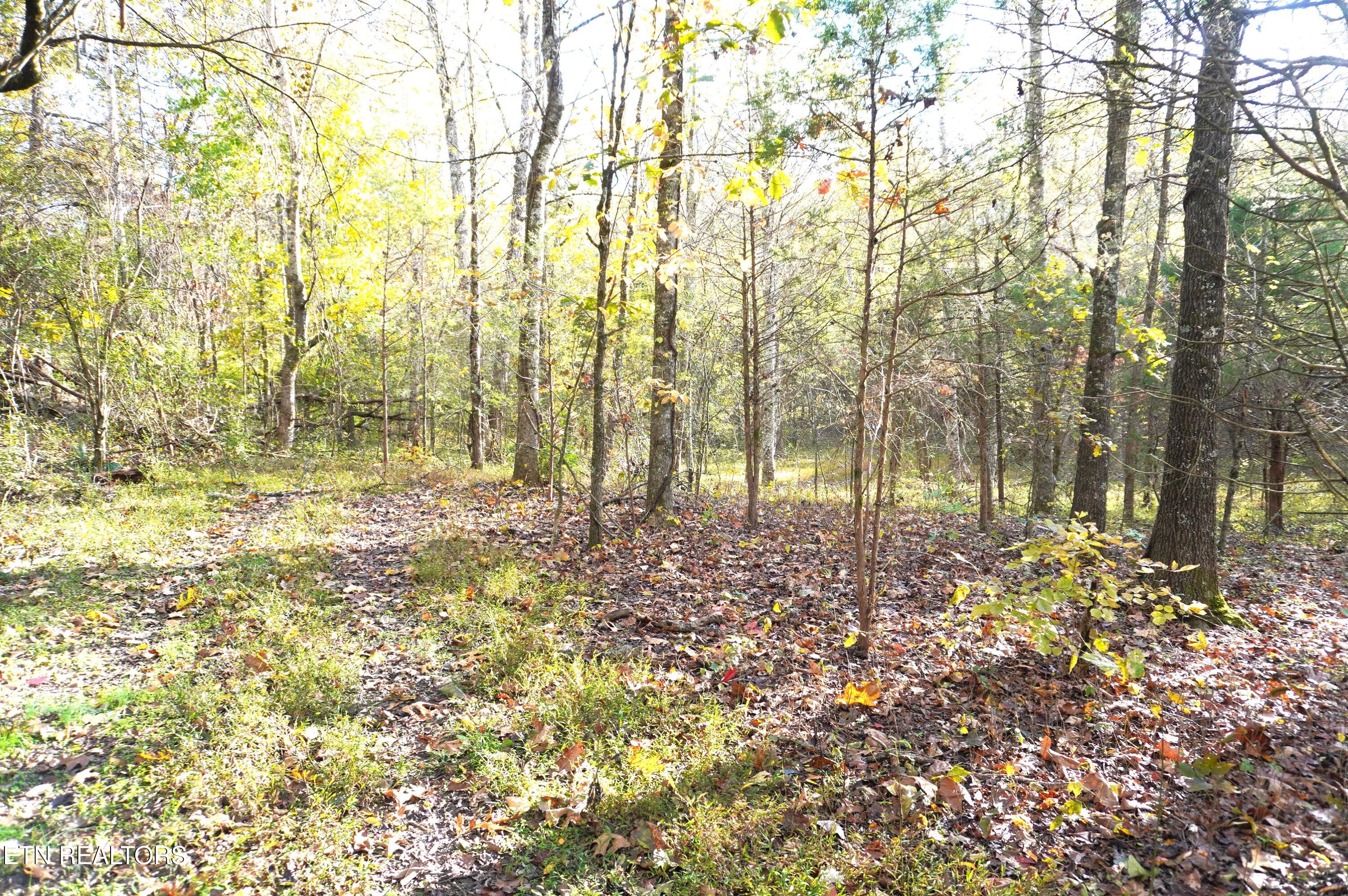 19 Pleasant View Cemetery Road New Market, TN 37820 - Photo 12 of 48 pleasant view cemetery - eric (23)