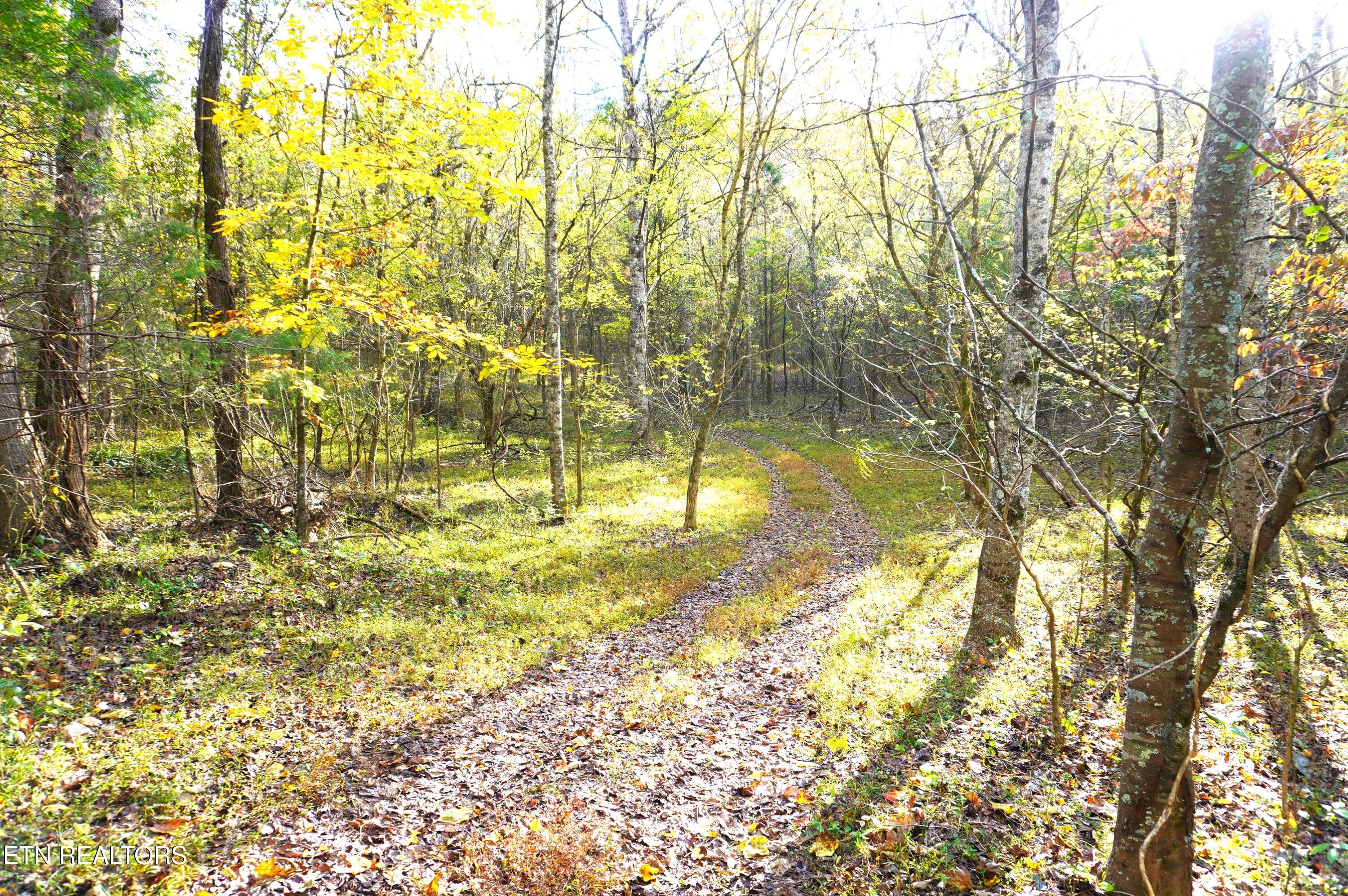 19 Pleasant View Cemetery Road New Market, TN 37820 - Photo 13 of 48 pleasant view cemetery - eric (24)