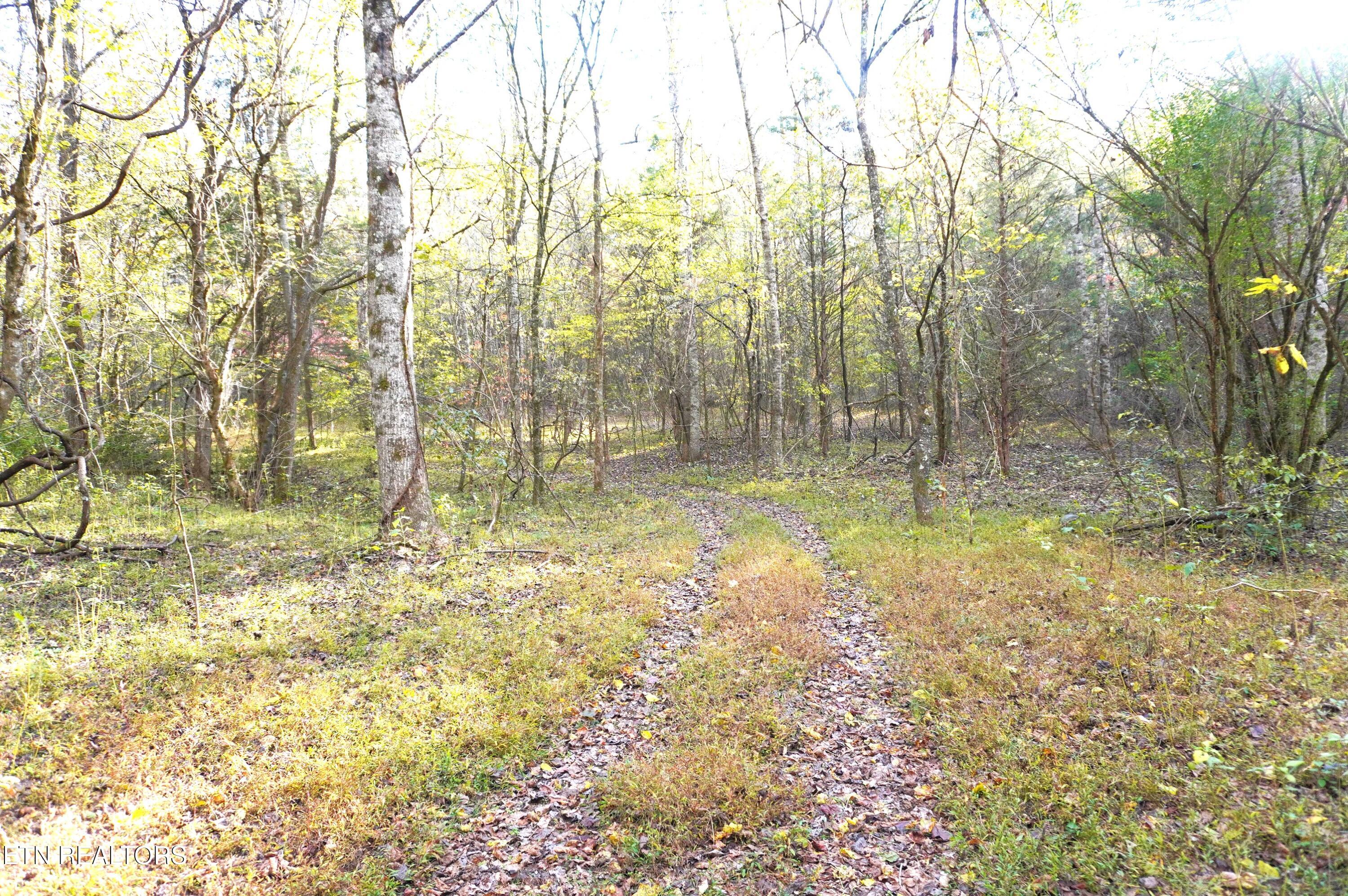 19 Pleasant View Cemetery Road New Market, TN 37820 - Photo 14 of 48 pleasant view cemetery - eric (25)