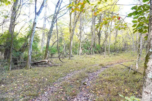 $374,900 | 19 Pleasant View Cemetery Road, New Market, TN 37820