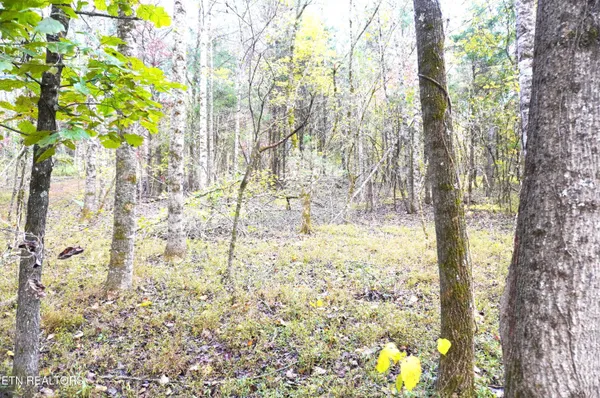 $374,900 | 19 Pleasant View Cemetery Road, New Market, TN 37820