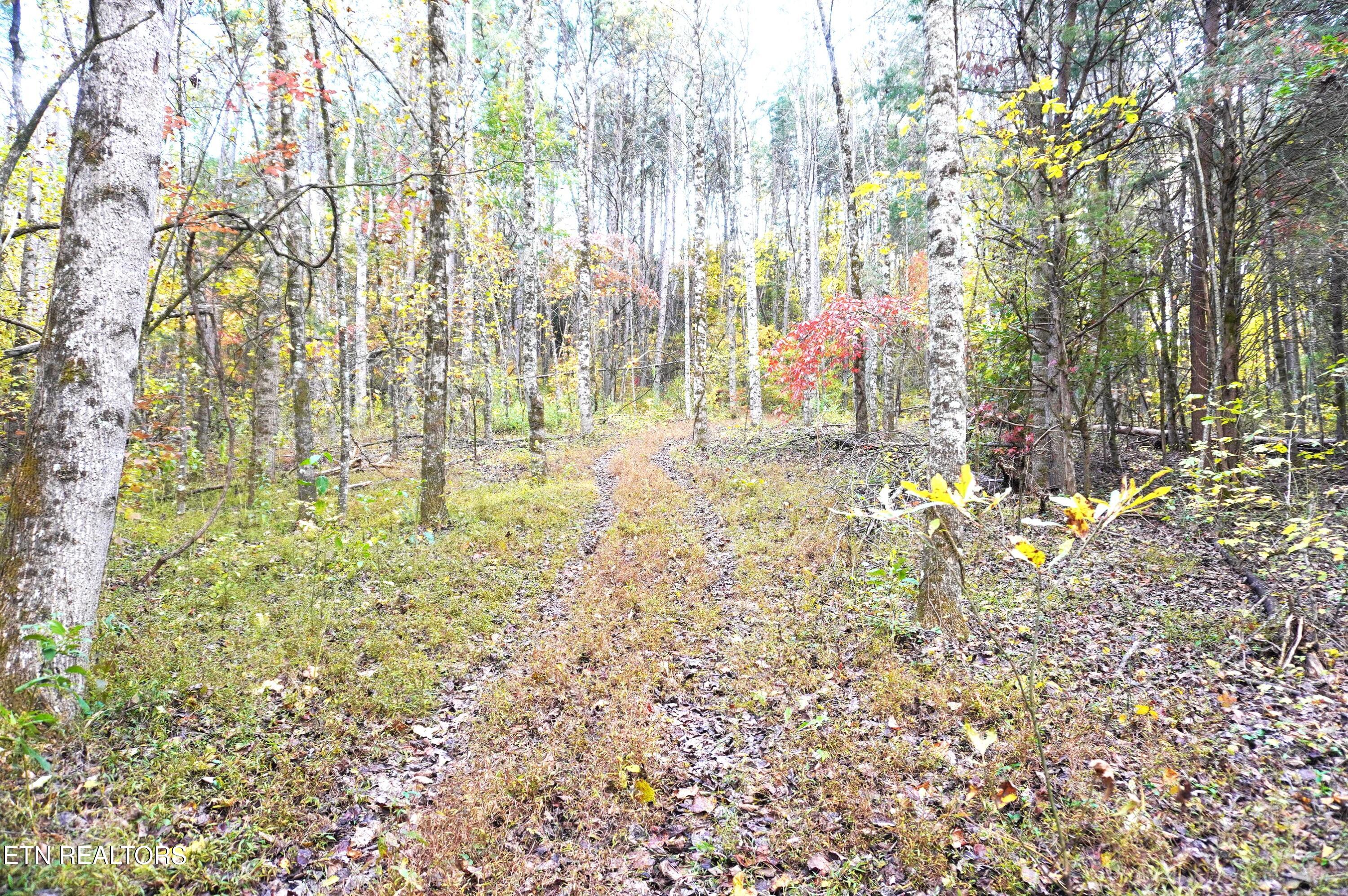 19 Pleasant View Cemetery Road New Market, TN 37820 - Photo 18 of 48 pleasant view cemetery - eric (29)