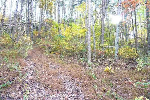 $374,900 | 19 Pleasant View Cemetery Road, New Market, TN 37820