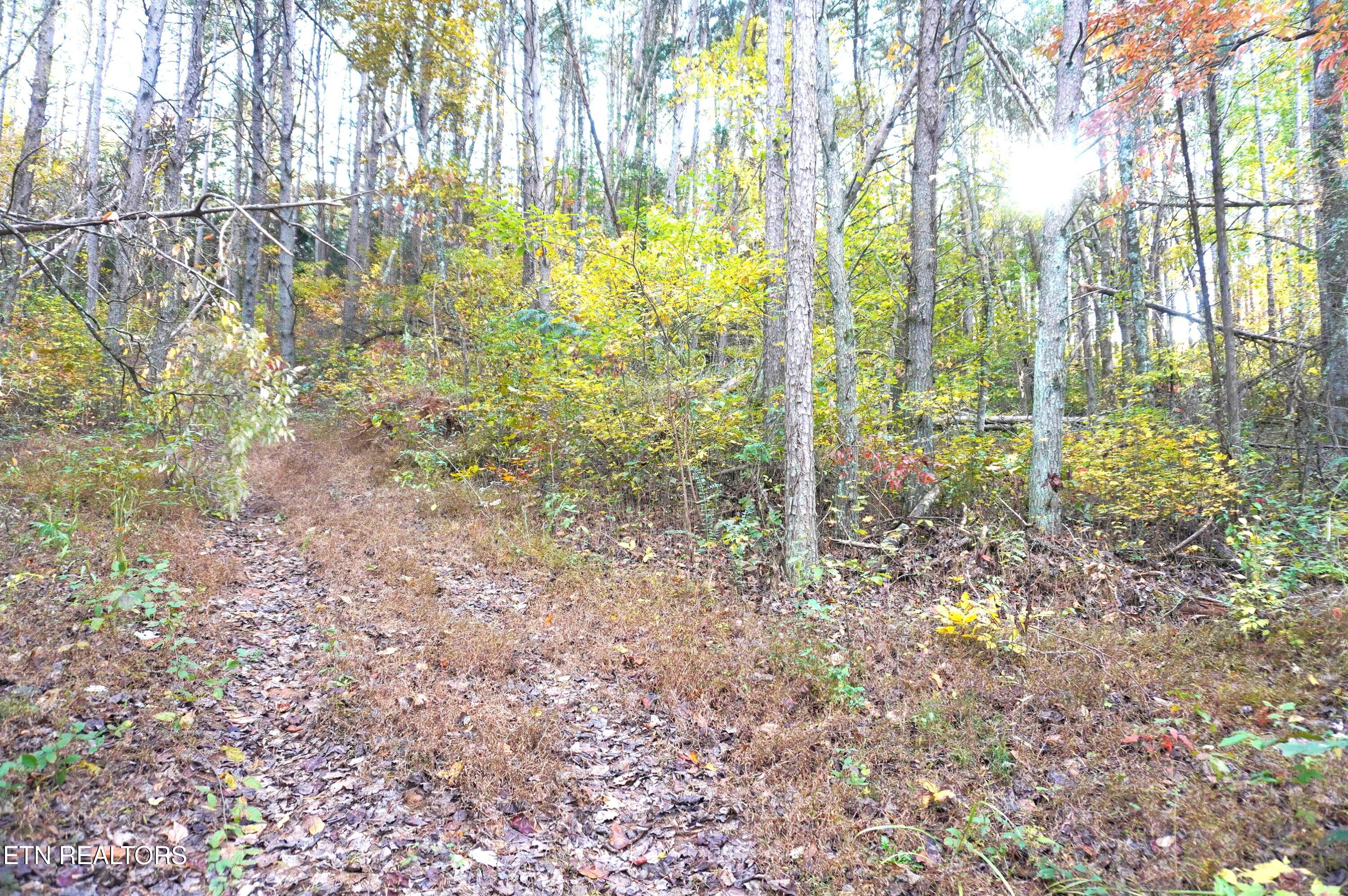 19 Pleasant View Cemetery Road New Market, TN 37820 - Photo 19 of 48 pleasant view cemetery - eric (30)