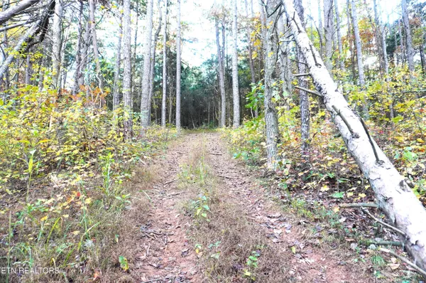 $374,900 | 19 Pleasant View Cemetery Road, New Market, TN 37820