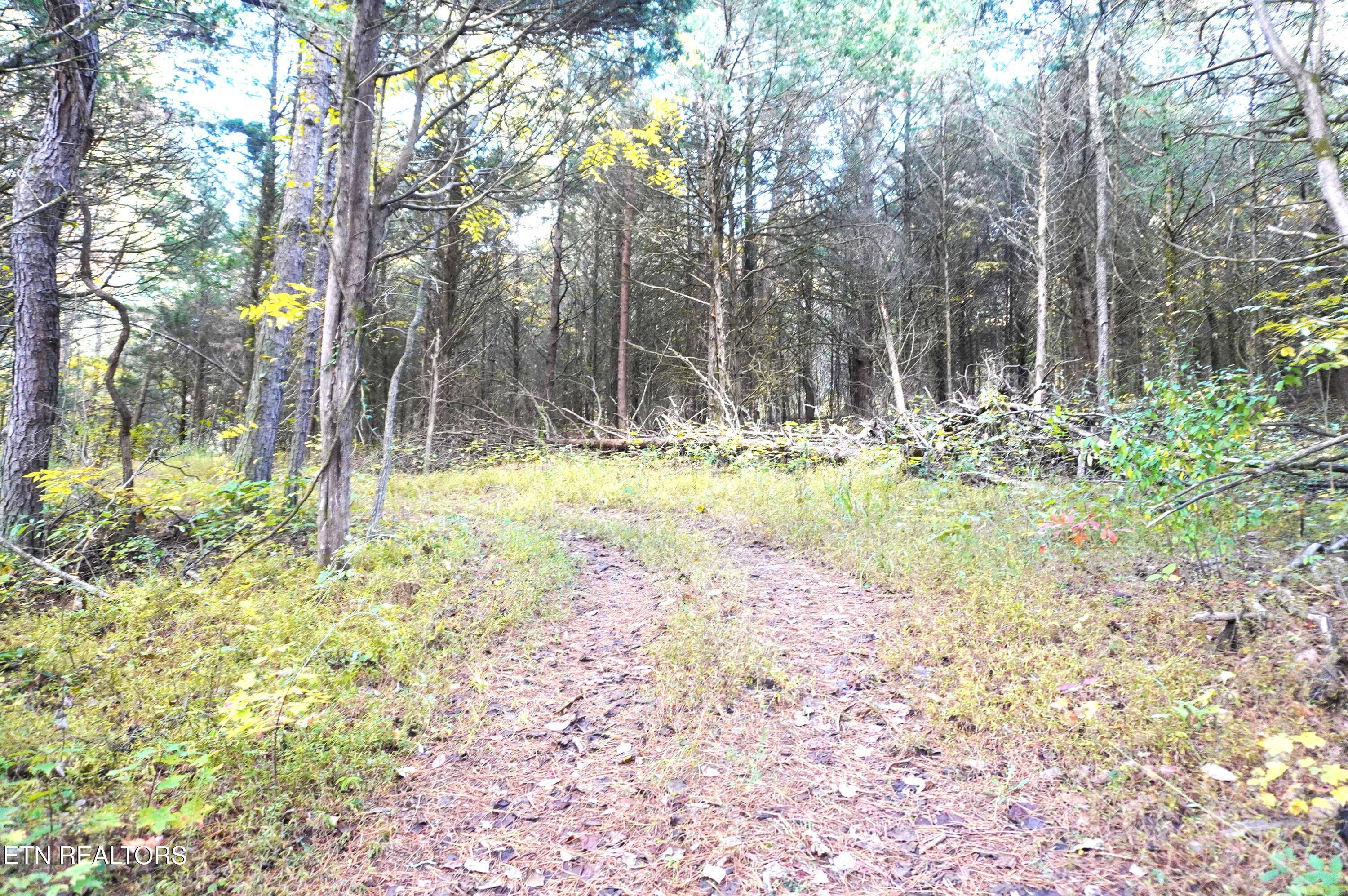 19 Pleasant View Cemetery Road New Market, TN 37820 - Photo 21 of 48 pleasant view cemetery - eric (32)