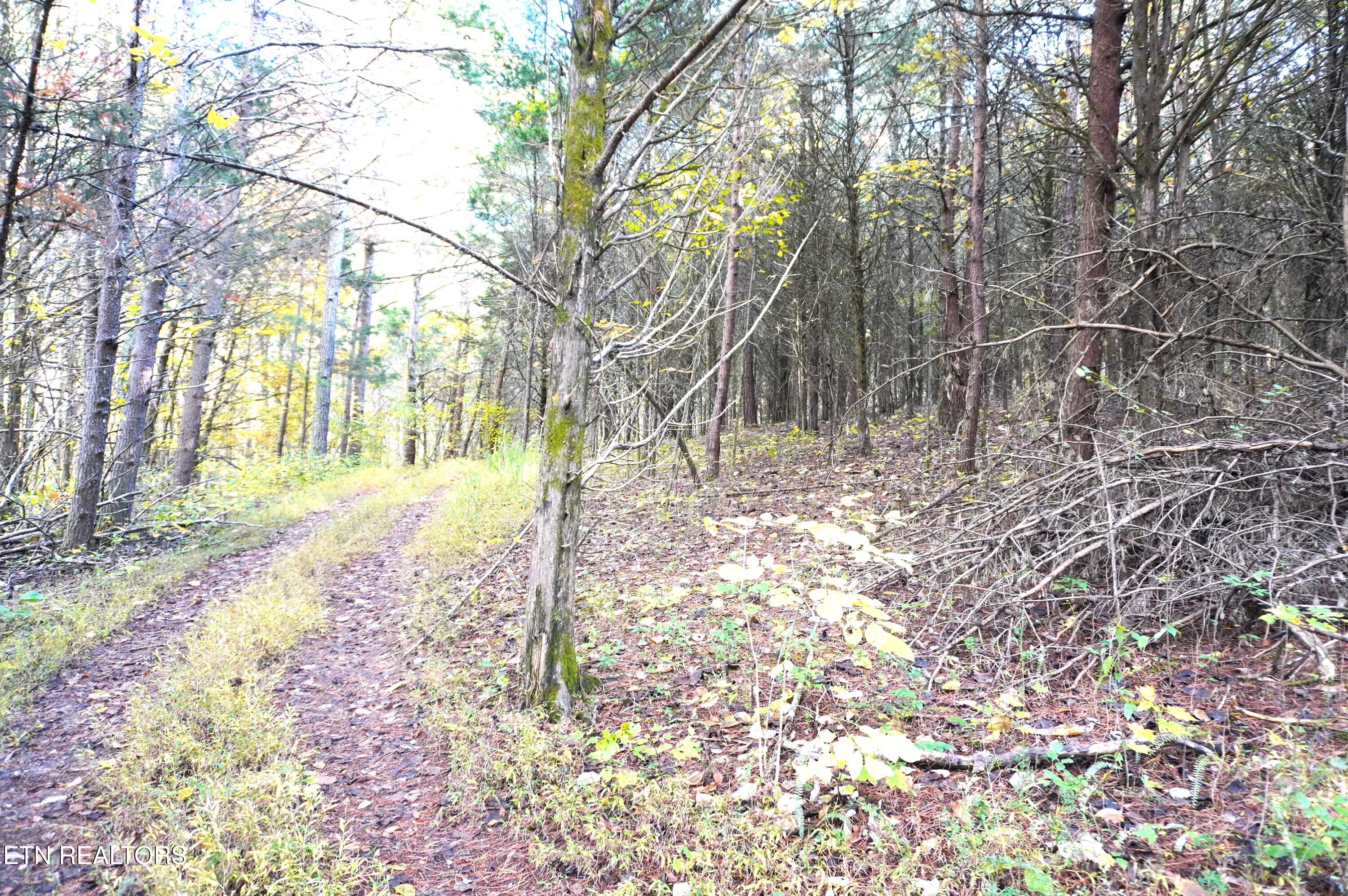 19 Pleasant View Cemetery Road New Market, TN 37820 - Photo 22 of 48 pleasant view cemetery - eric (33)