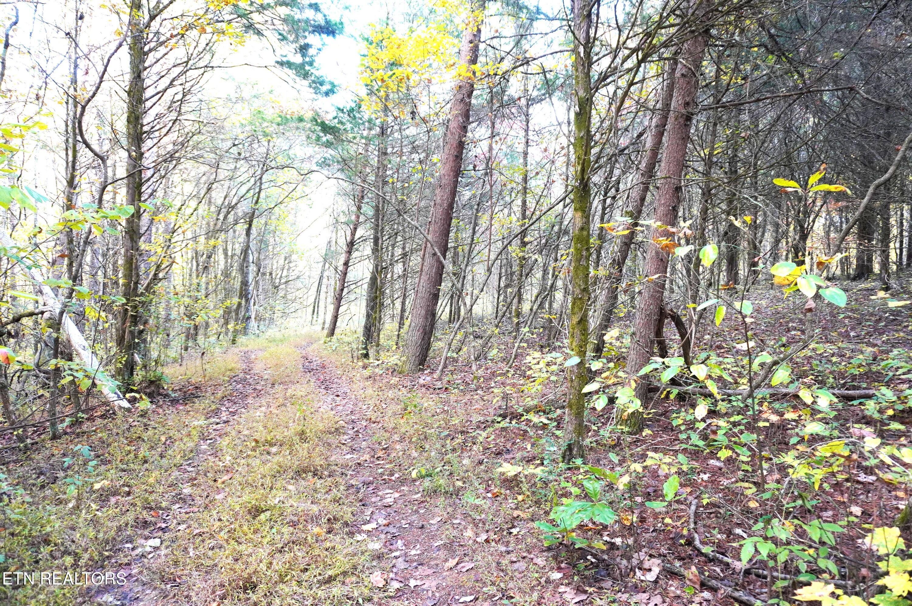 19 Pleasant View Cemetery Road New Market, TN 37820 - Photo 23 of 48 pleasant view cemetery - eric (34)