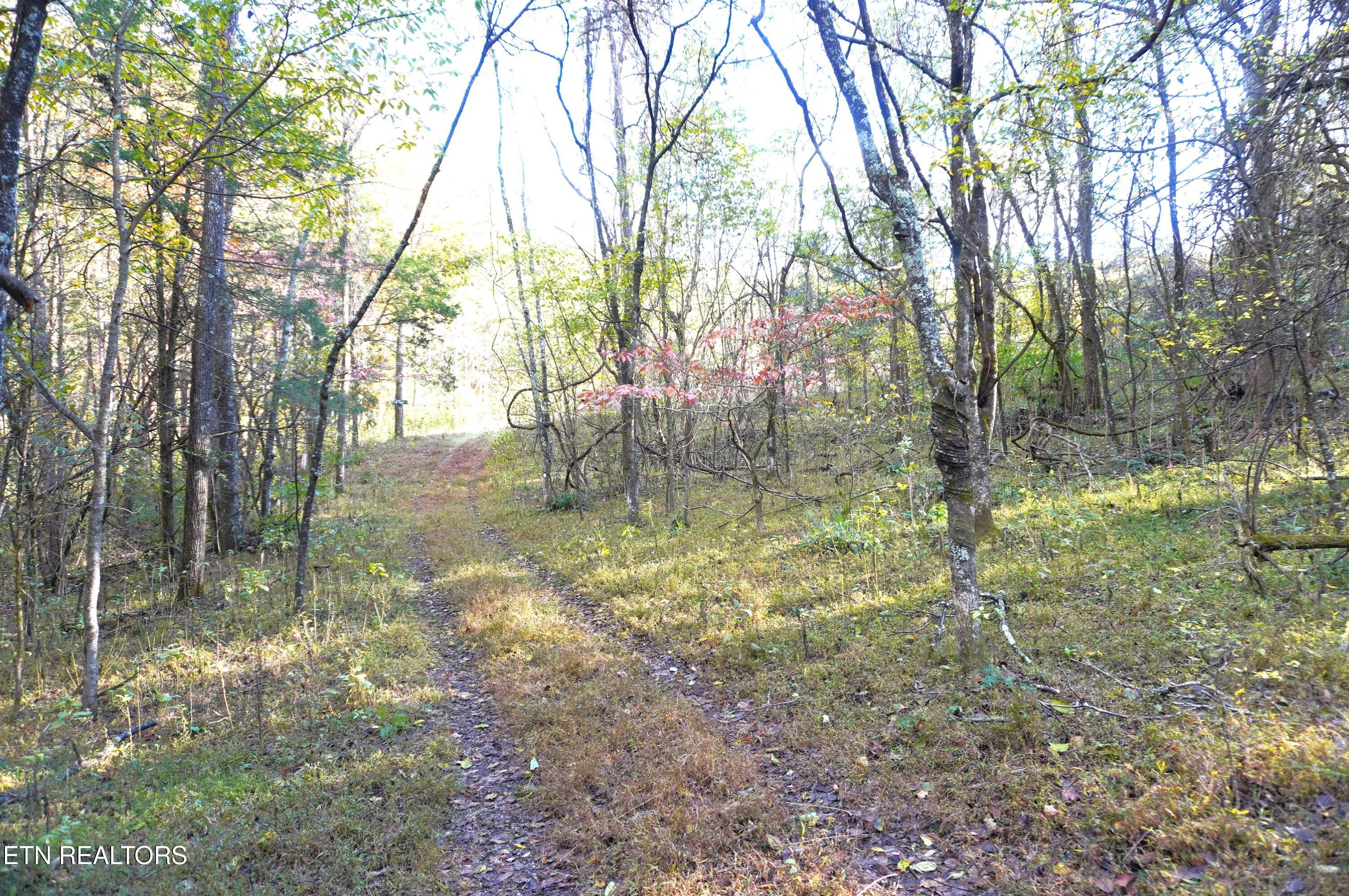 19 Pleasant View Cemetery Road New Market, TN 37820 - Photo 24 of 48 pleasant view cemetery - eric (35)