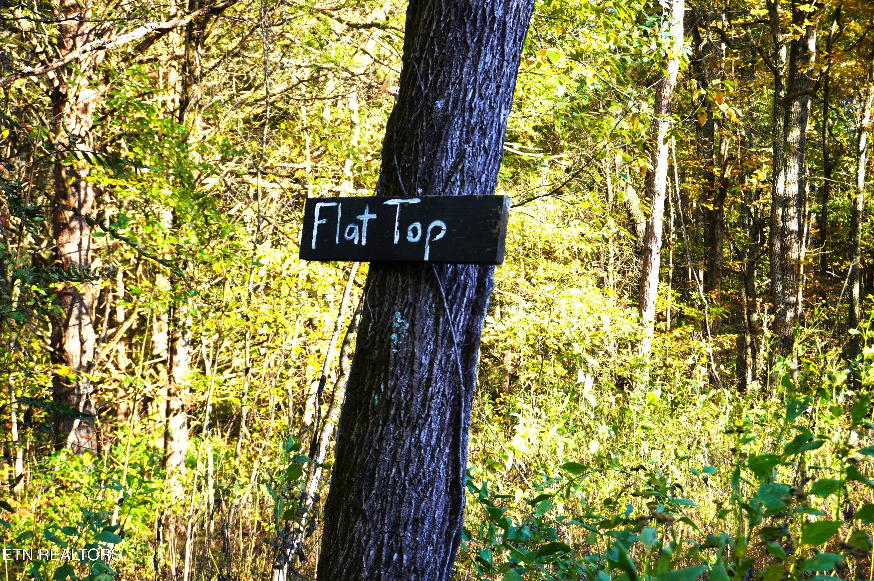 19 Pleasant View Cemetery Road New Market, TN 37820 - Photo 26 of 48 pleasant view cemetery - eric (37)