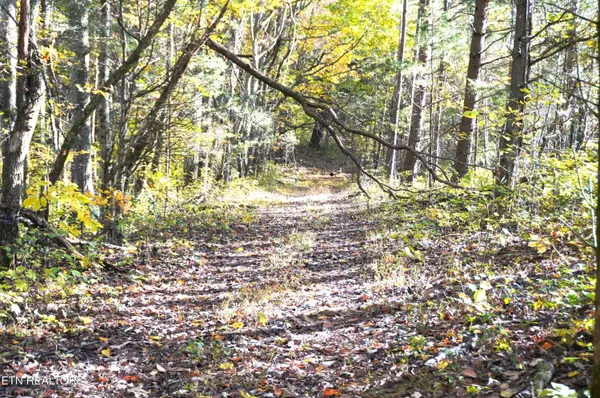 $374,900 | 19 Pleasant View Cemetery Road, New Market, TN 37820