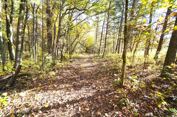 $374,900 | 19 Pleasant View Cemetery Road, New Market, TN 37820