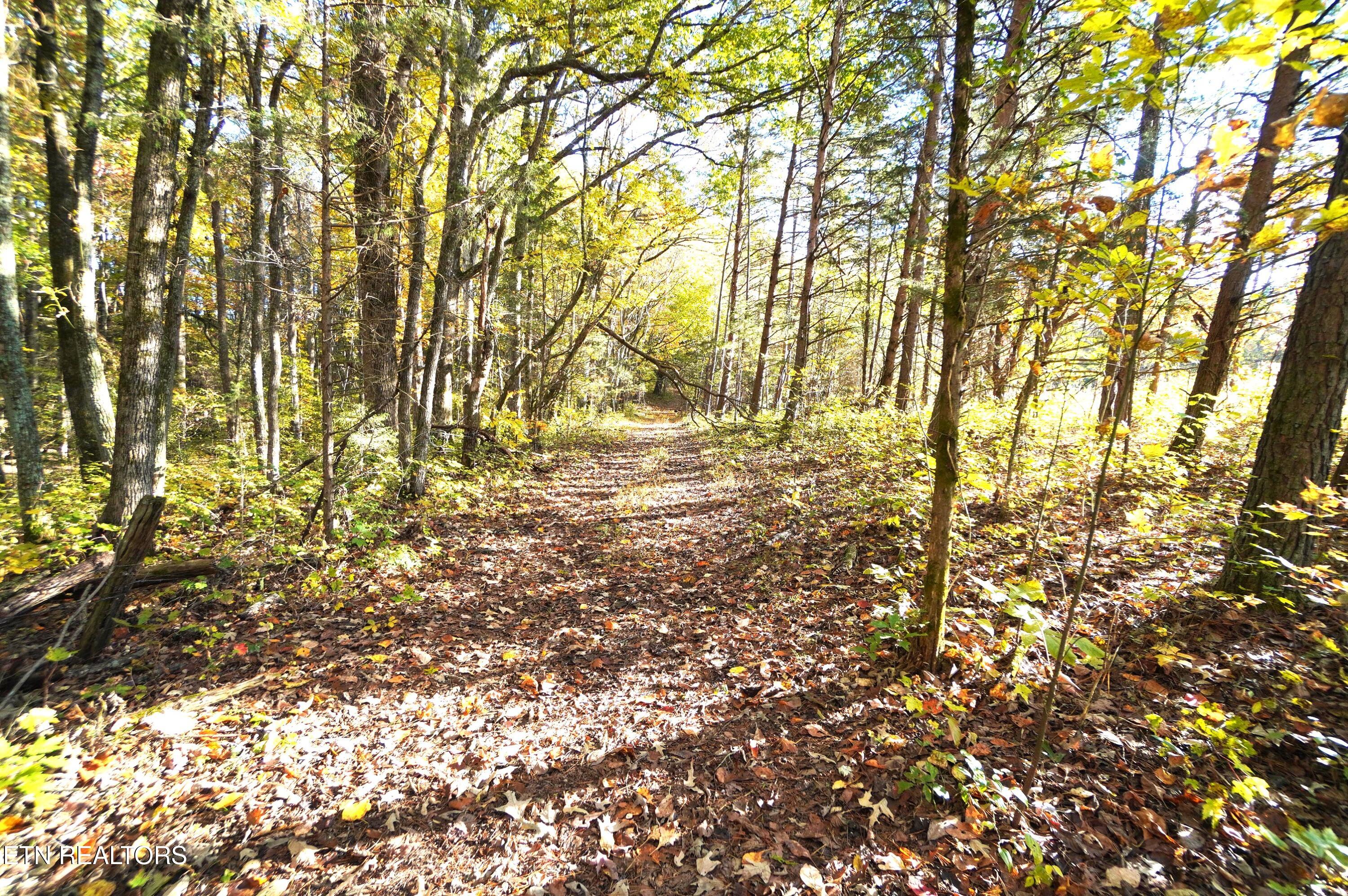 19 Pleasant View Cemetery Road New Market, TN 37820 - Photo 28 of 48 pleasant view cemetery - eric (39)