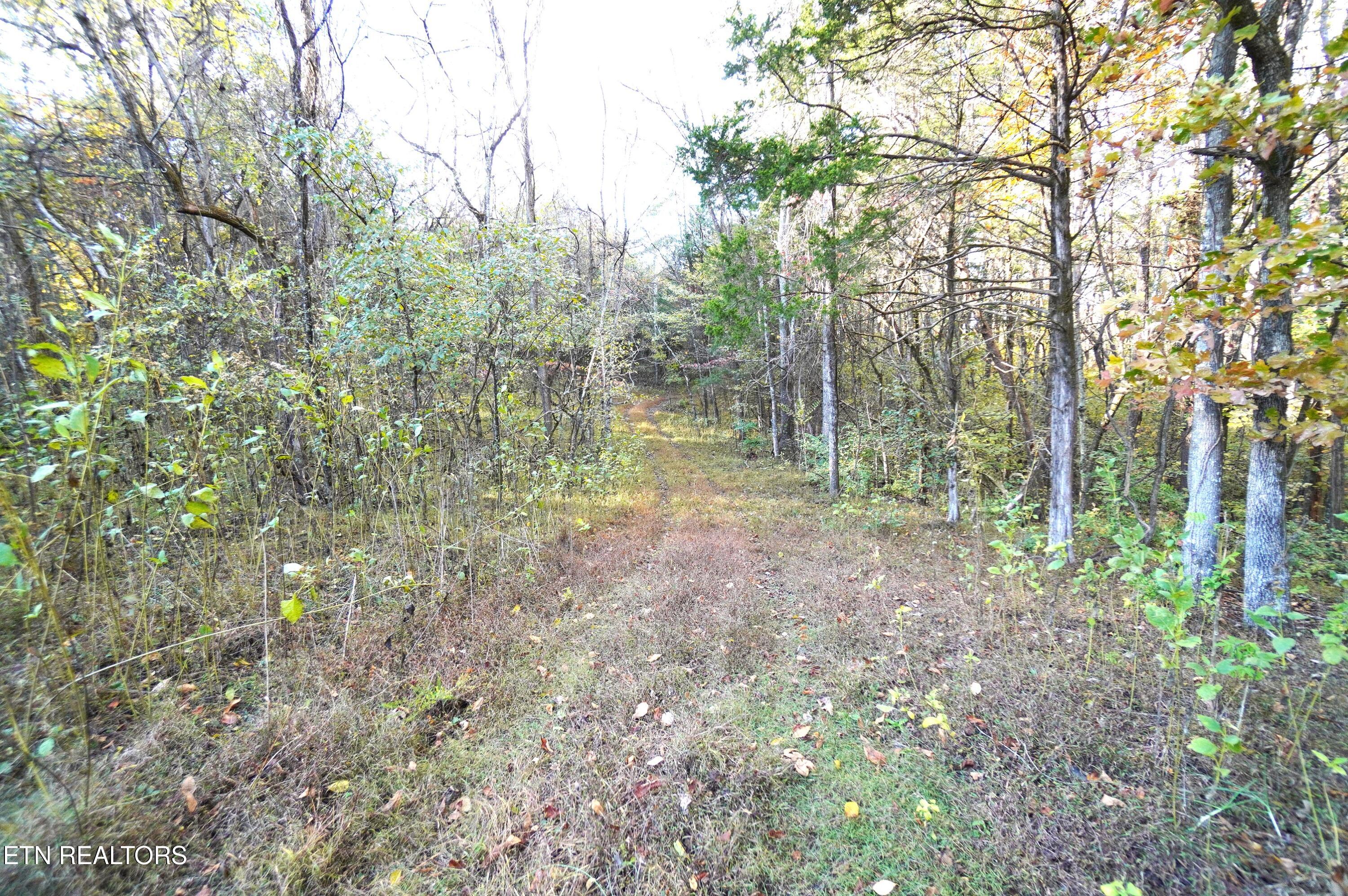 19 Pleasant View Cemetery Road New Market, TN 37820 - Photo 29 of 48 pleasant view cemetery - eric (40)