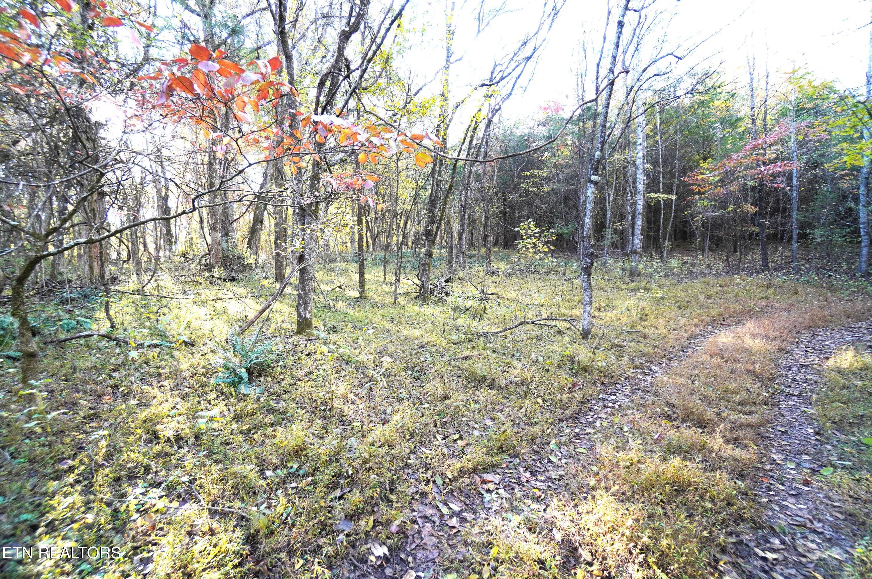 19 Pleasant View Cemetery Road New Market, TN 37820 - Photo 30 of 48 pleasant view cemetery - eric (41)