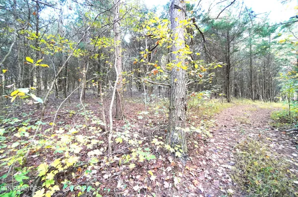 $374,900 | 19 Pleasant View Cemetery Road, New Market, TN 37820