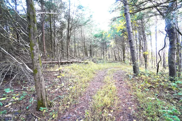 $374,900 | 19 Pleasant View Cemetery Road, New Market, TN 37820