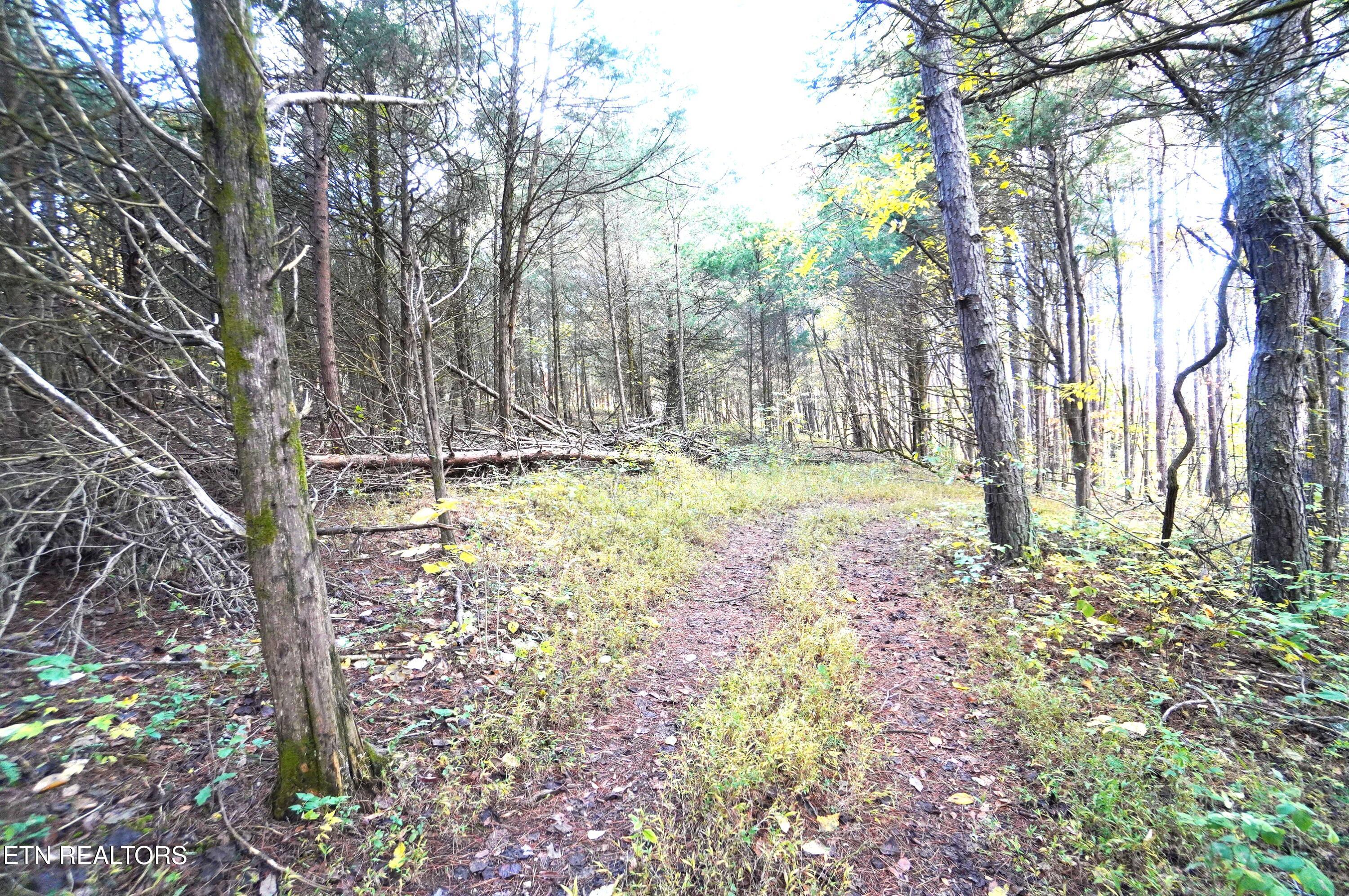 19 Pleasant View Cemetery Road New Market, TN 37820 - Photo 34 of 48 pleasant view cemetery - eric (45)