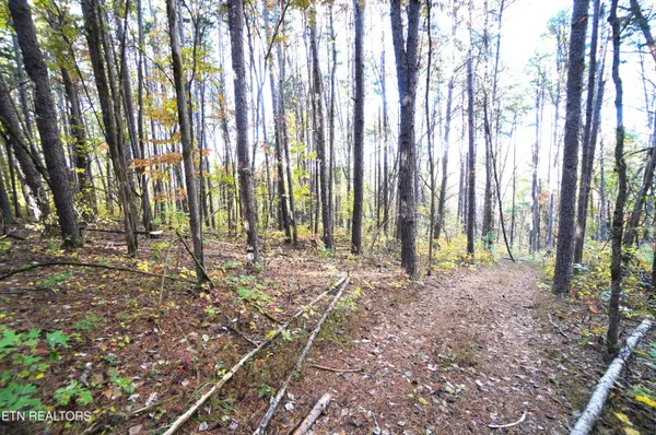 $374,900 | 19 Pleasant View Cemetery Road, New Market, TN 37820