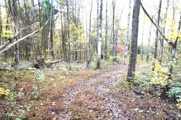 $374,900 | 19 Pleasant View Cemetery Road, New Market, TN 37820