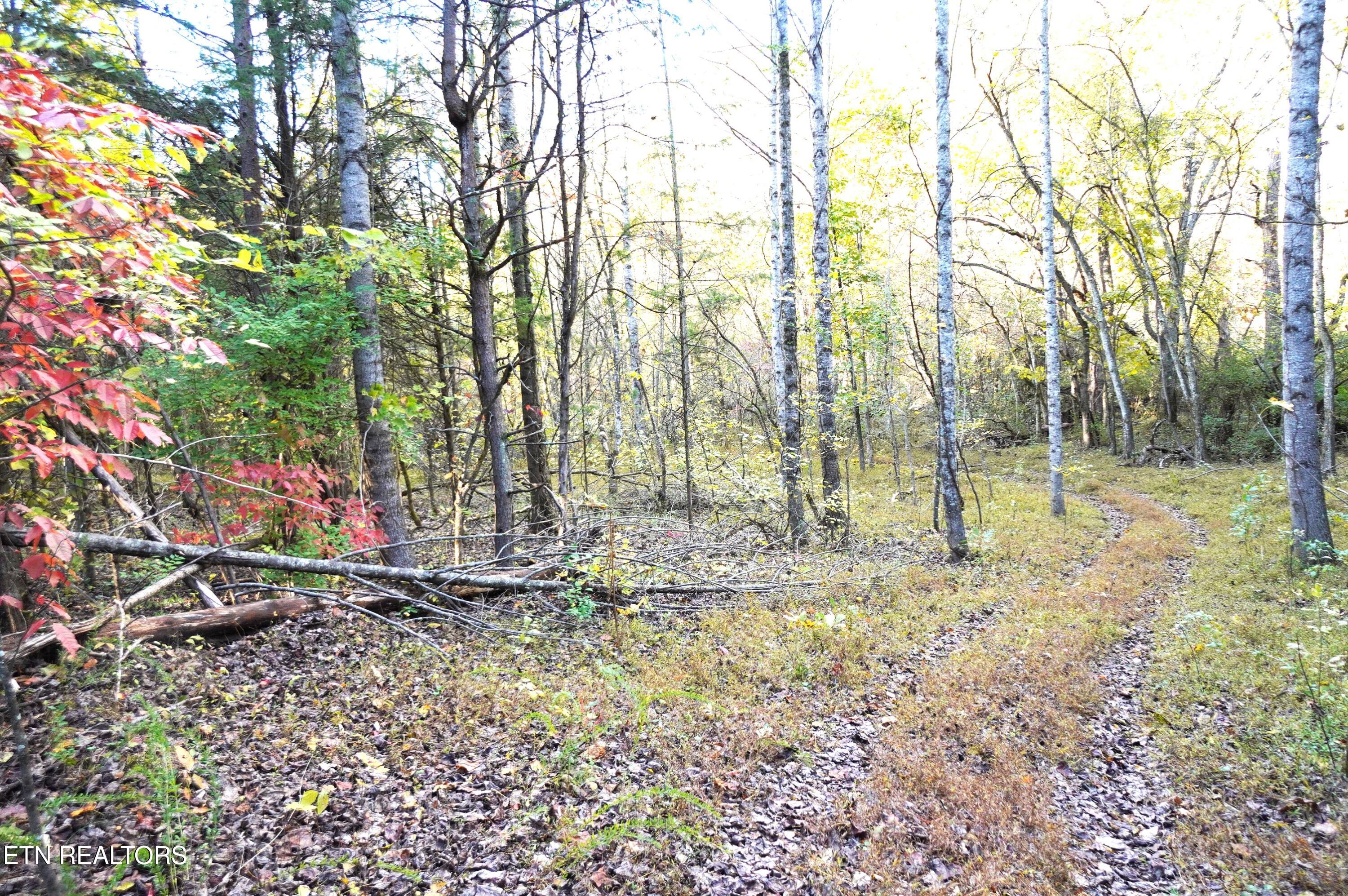 19 Pleasant View Cemetery Road New Market, TN 37820 - Photo 37 of 48 pleasant view cemetery - eric (48)