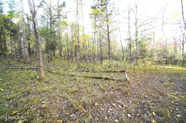 $374,900 | 19 Pleasant View Cemetery Road, New Market, TN 37820