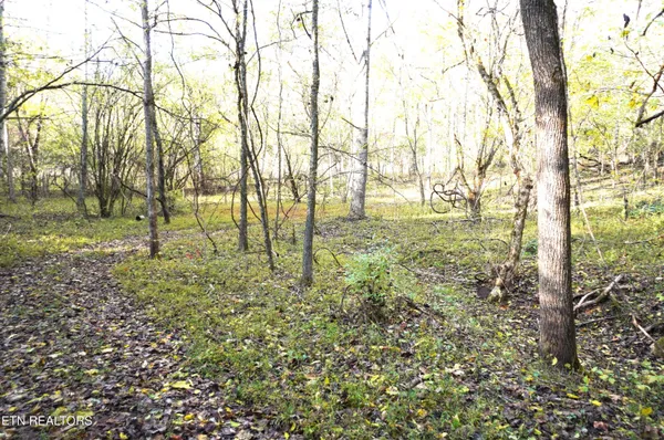 $374,900 | 19 Pleasant View Cemetery Road, New Market, TN 37820