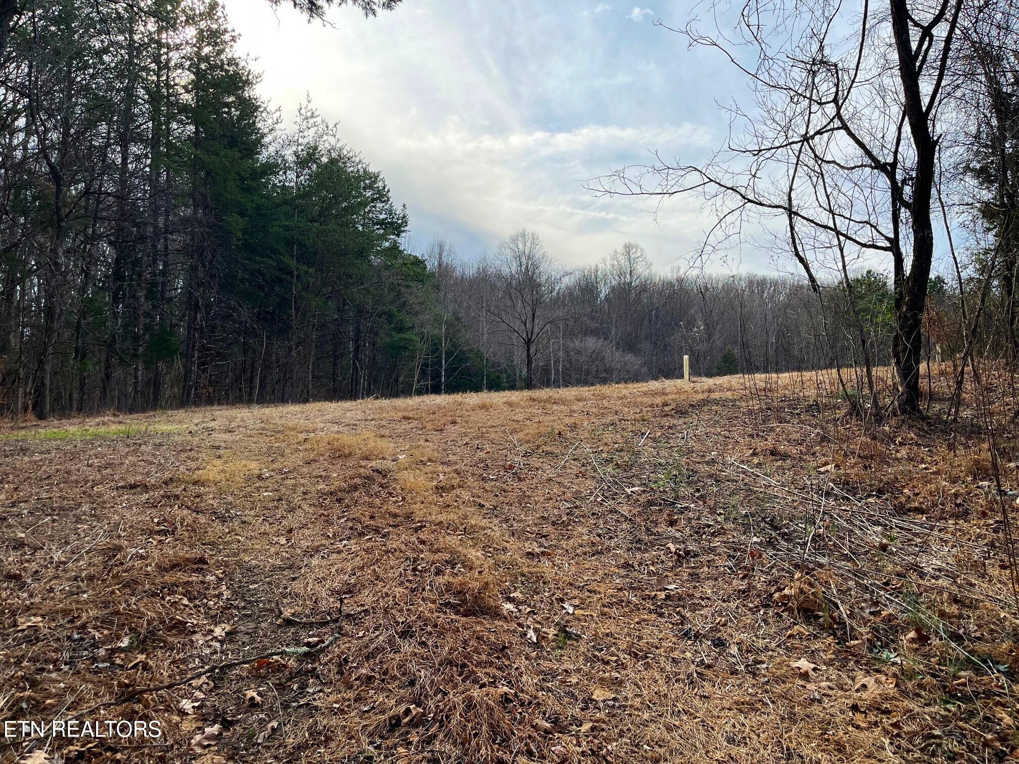 19 Pleasant View Cemetery Road New Market, TN 37820 - Photo 4 of 48 pleasant view cemetery - eric (5)