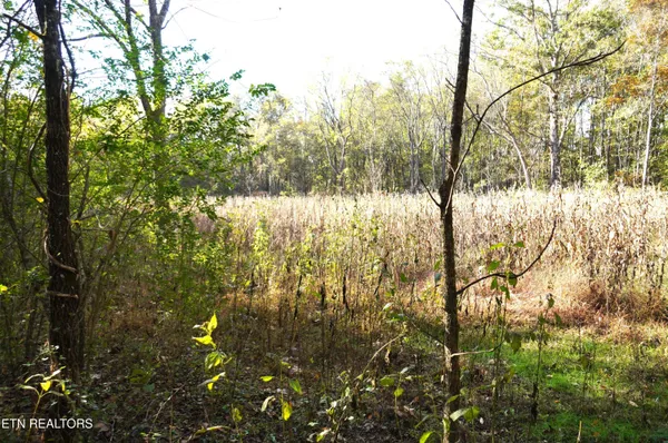 $374,900 | 19 Pleasant View Cemetery Road, New Market, TN 37820