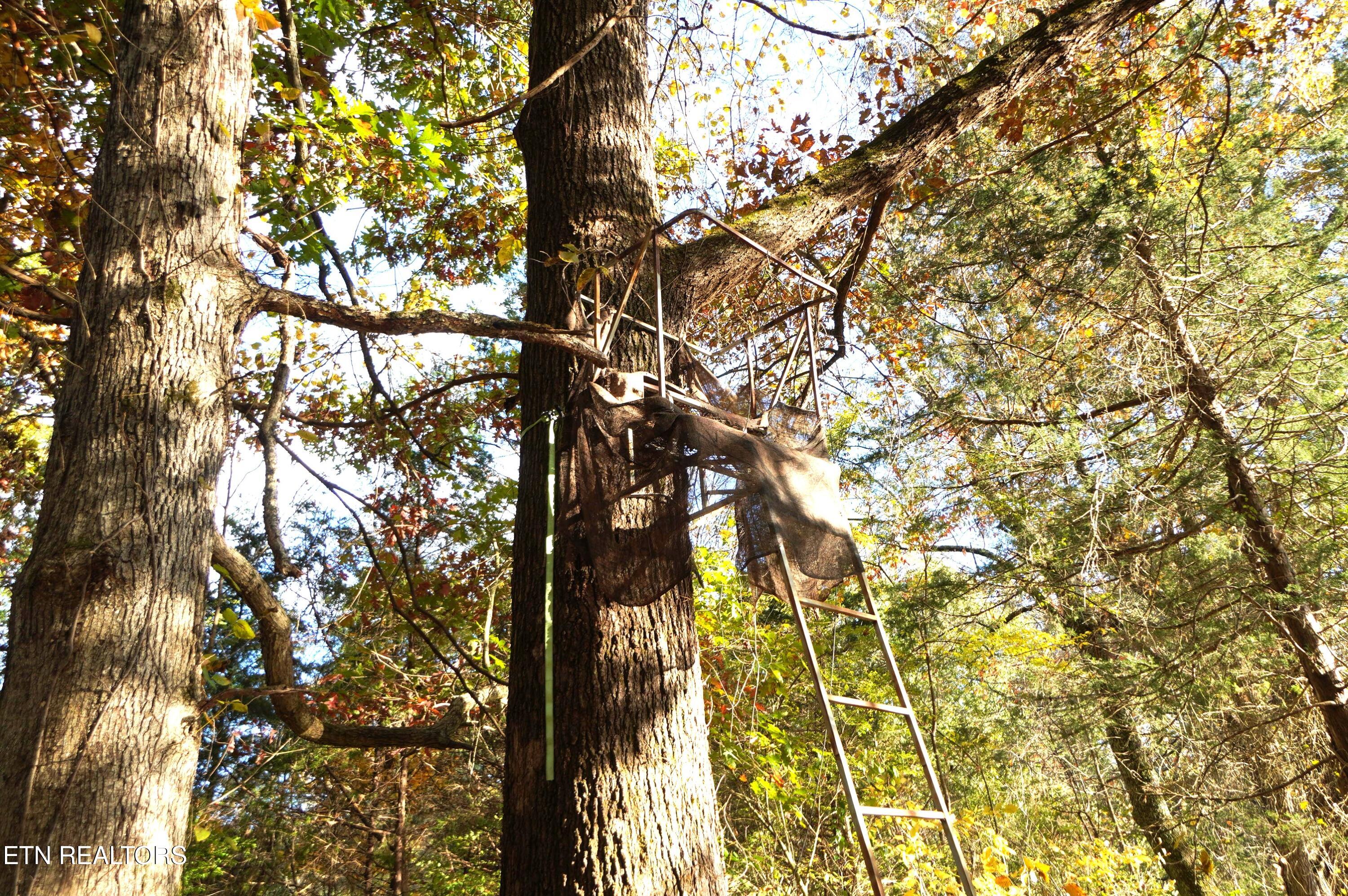 19 Pleasant View Cemetery Road New Market, TN 37820 - Photo 43 of 48 pleasant view cemetery - eric (54)
