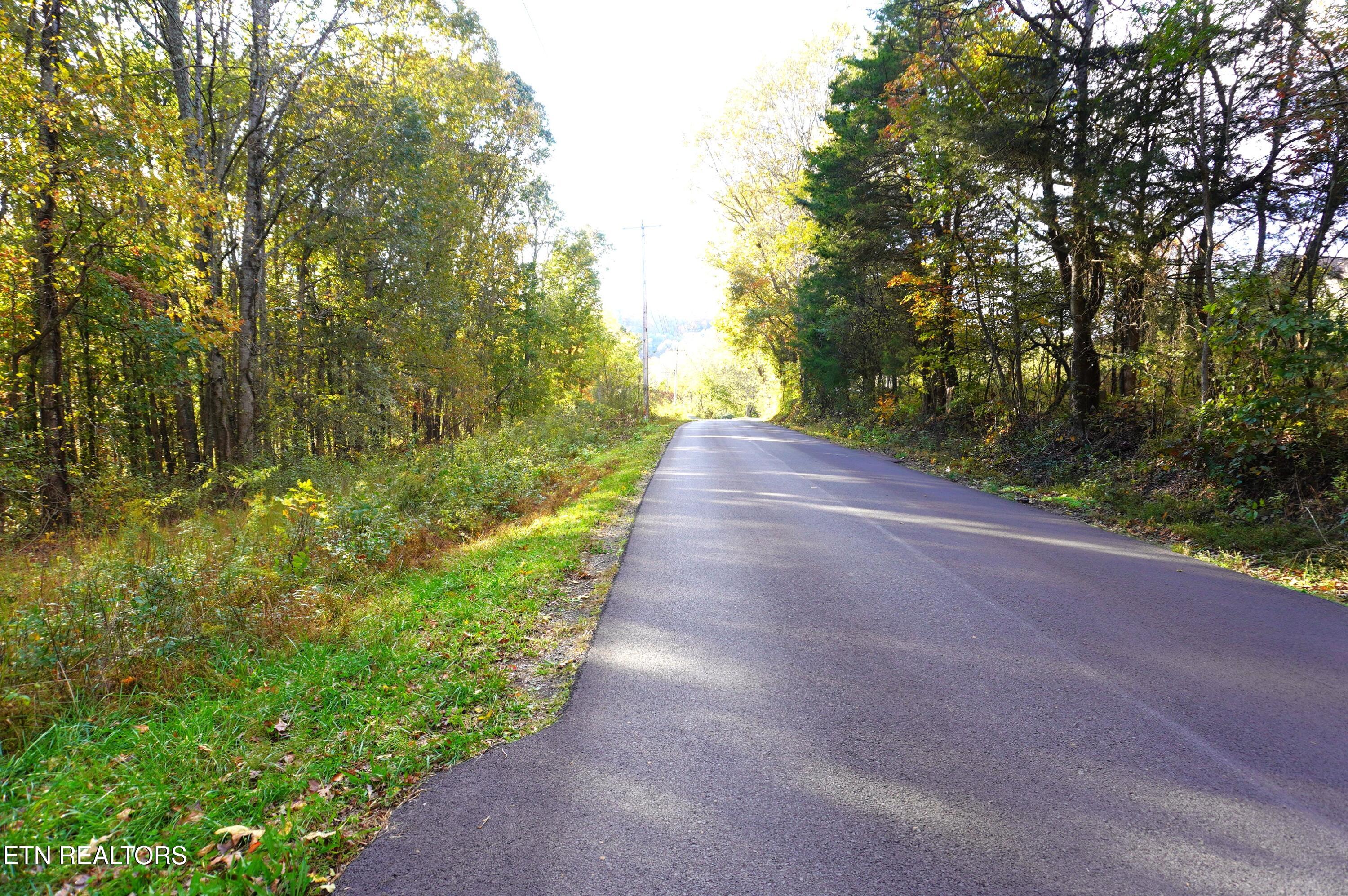 19 Pleasant View Cemetery Road New Market, TN 37820 - Photo 46 of 48 pleasant view cemetery - eric (17)