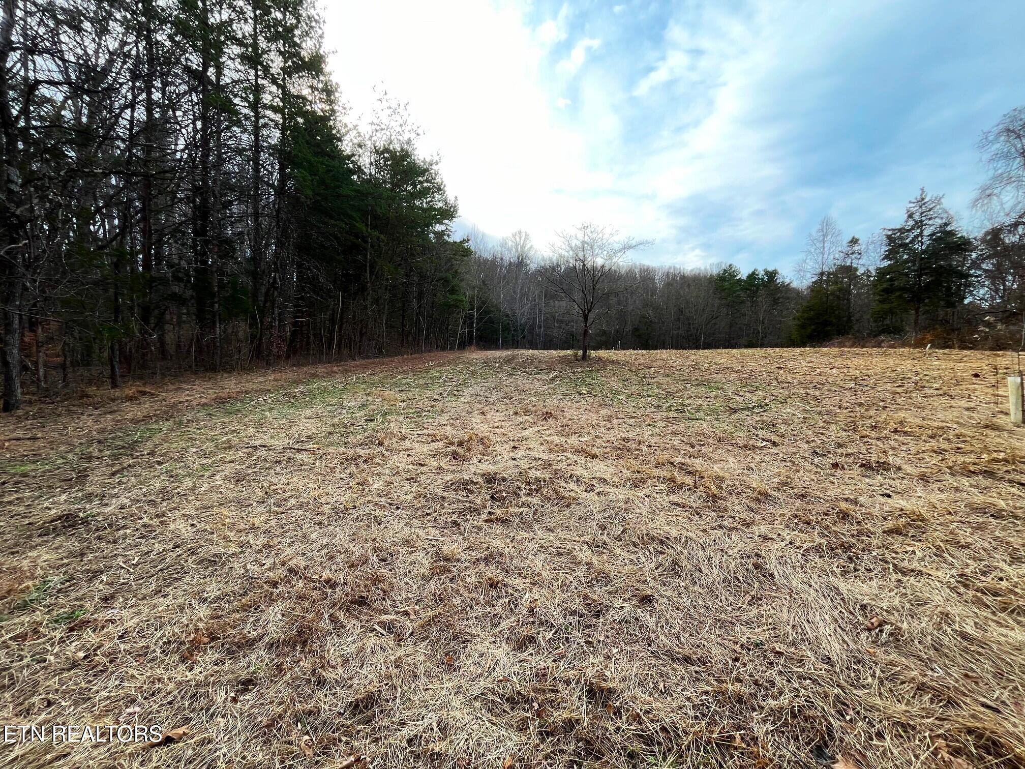19 Pleasant View Cemetery Road New Market, TN 37820 - Photo 5 of 48 pleasant view cemetery - eric (6)