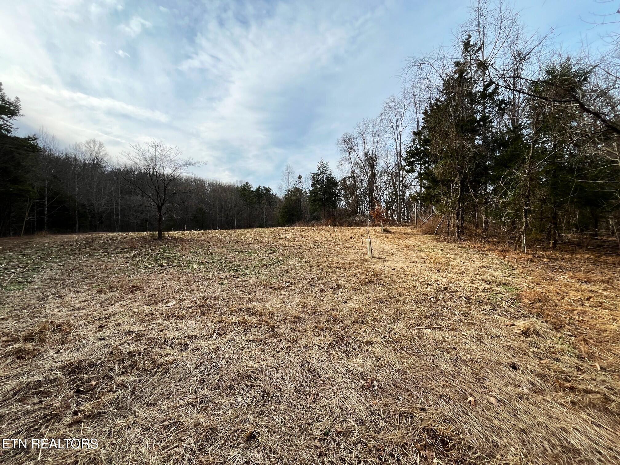 19 Pleasant View Cemetery Road New Market, TN 37820 - Photo 6 of 48 pleasant view cemetery - eric (7)