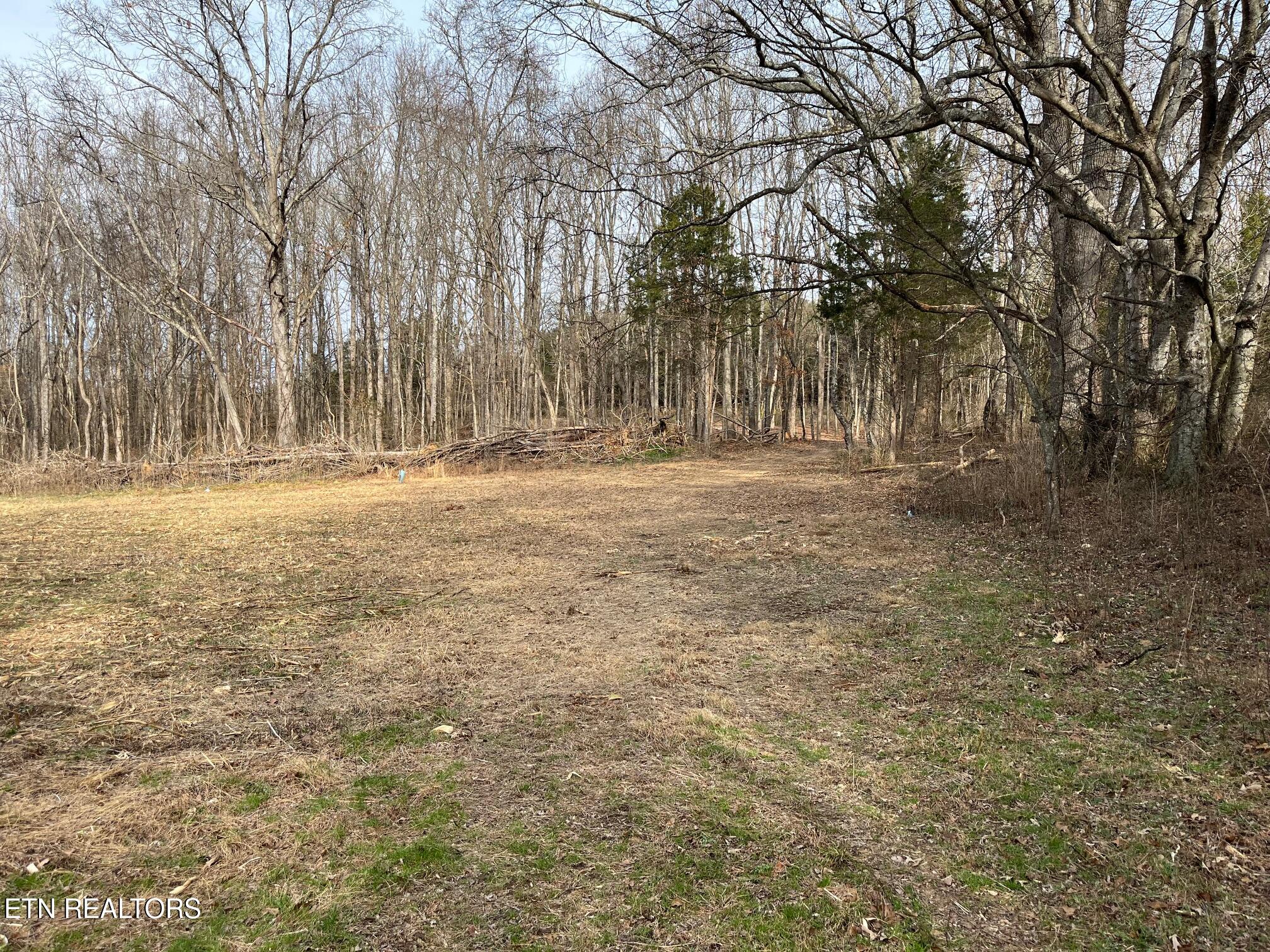 19 Pleasant View Cemetery Road New Market, TN 37820 - Photo 9 of 48 pleasant view cemetery - eric (10)