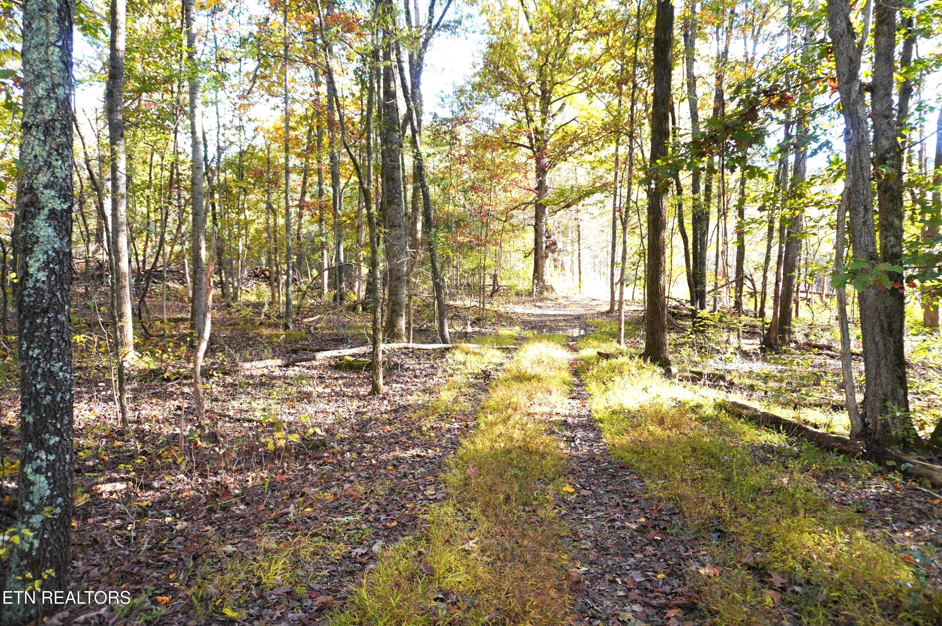19 Pleasant View Cemetery Road New Market, TN 37820 - Photo 10 of 48 pleasant view cemetery - eric (21)