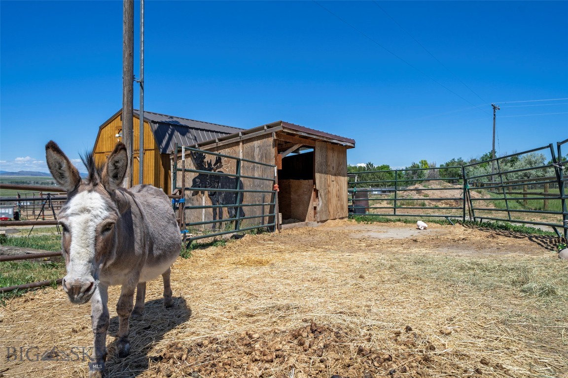 4625 Buffalo Jump Road Three Forks, MT 59752 - Photo 46 of 65 Gallery Image 46