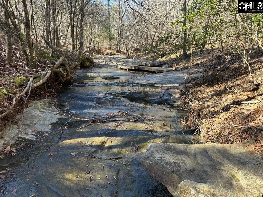 River Road Winnsboro, SC 29180 - Photo 10 of 20
