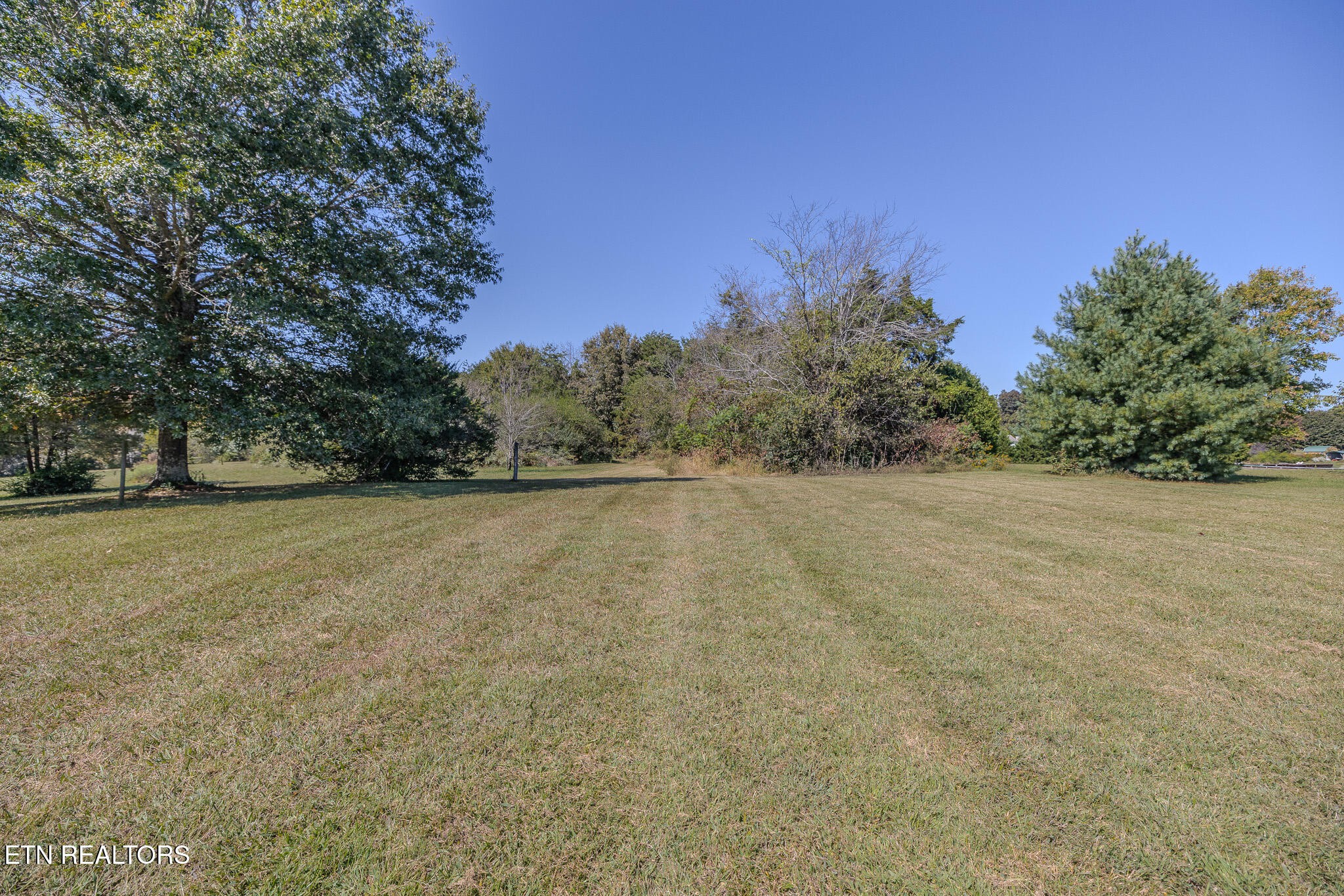 285 Vernie Lee Road Friendsville, TN 37737 - Photo 39 of 49 Gallery Image 39