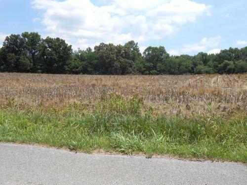 1 Twyford Point Road Monticello, KY 42633 - Photo 1 of 9 DSCN3275