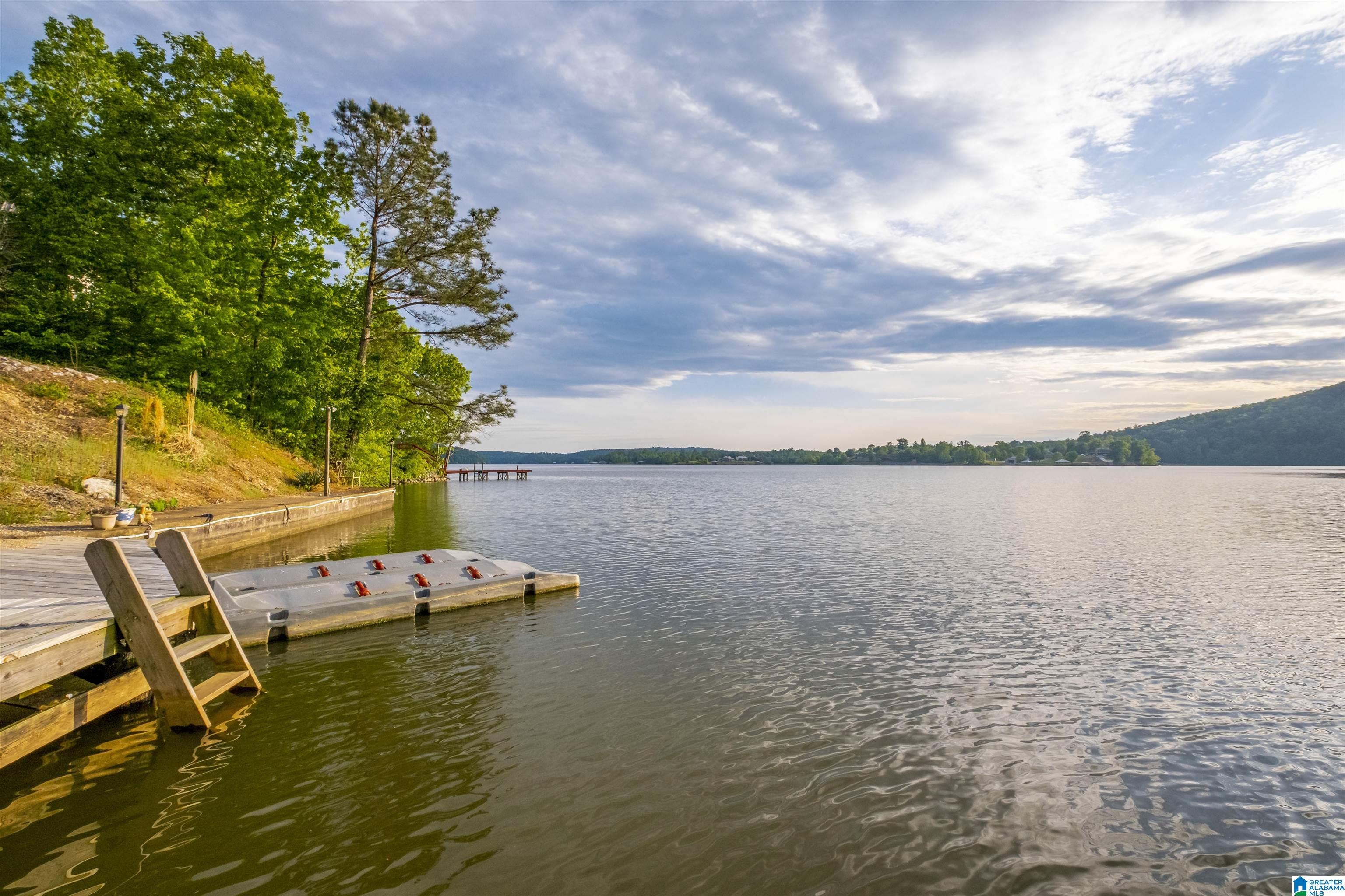 202 Cherry Street Ohatchee, AL 36271 - Photo 63 of 71