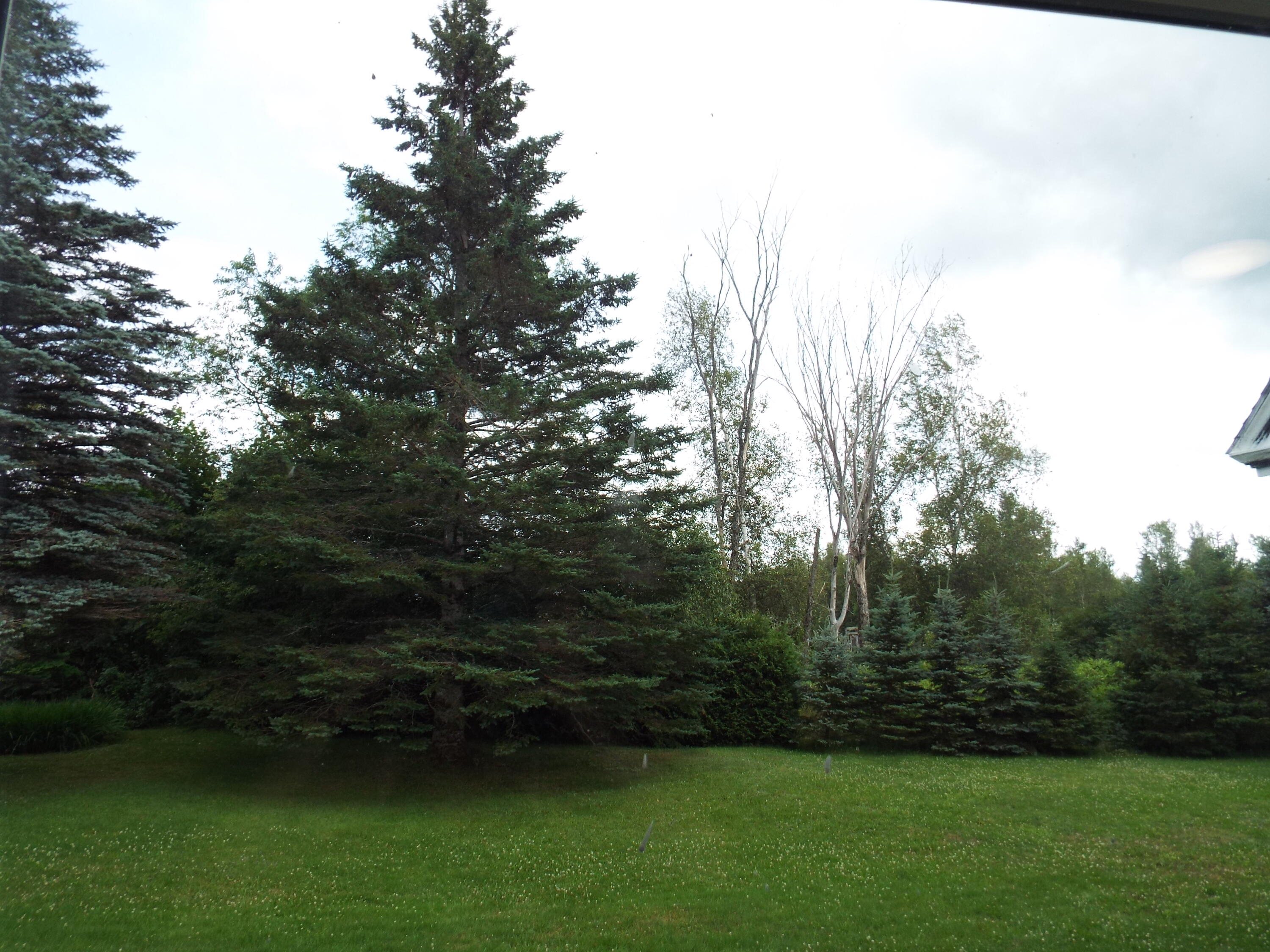 5186 Bennoch Road Lagrange, ME 04453 - Photo 8 of 38 Lagrange 8