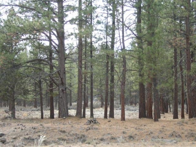 4.29 Acres Antelope Road Macdoel, CA 96058 - Photo 4 of 14 Gallery Image 4