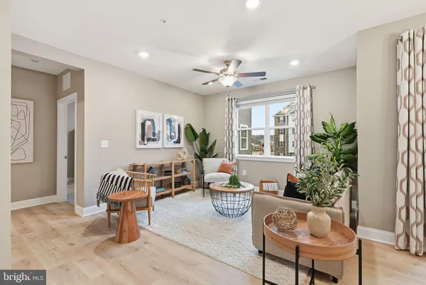 a living room with furniture and a potted plant