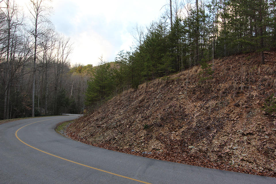 57 Harvest Moon Road Sevierville, TN 37862 - Photo 3 of 8 IMG_7415