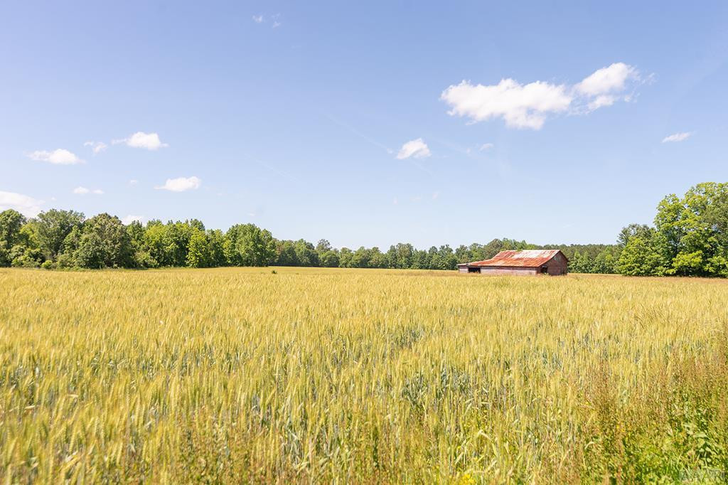 279 Deep Creek Road Hertford, NC 27944 - Photo 21 of 40 View of farmland behind the property